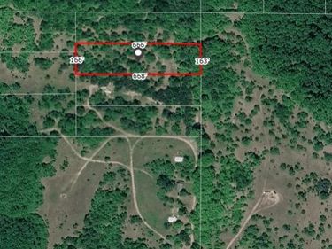 V/L Tremblay Road, Custer Twp, MI 49659