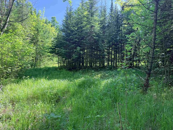 00 Tug Mountain Road, Lunenburg, VT 05906