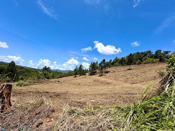 Km 5.5 CARR PR 734, Cidra, PR 00739