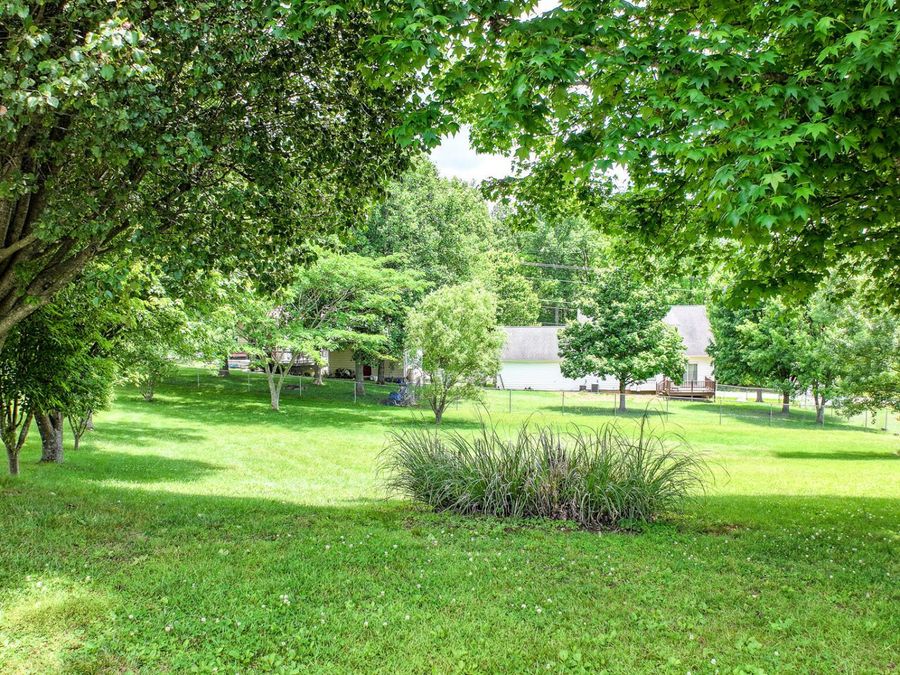 Property Image 55