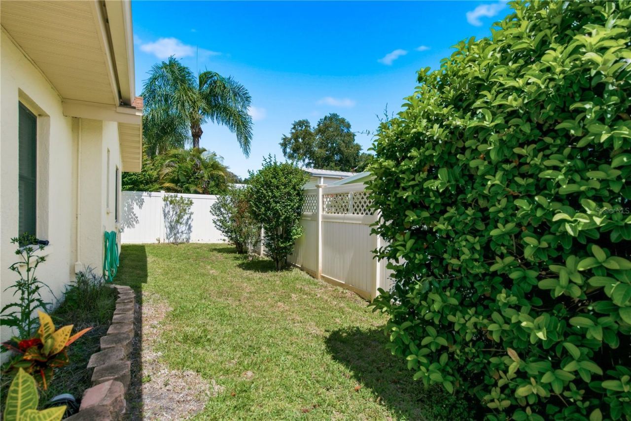 254 Timberview Drive , Safety Harbor, FL 34695 Photo
