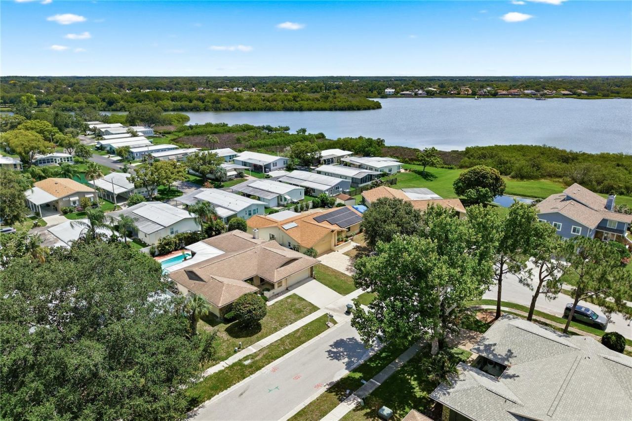 254 Timberview Drive , Safety Harbor, FL 34695 Photo