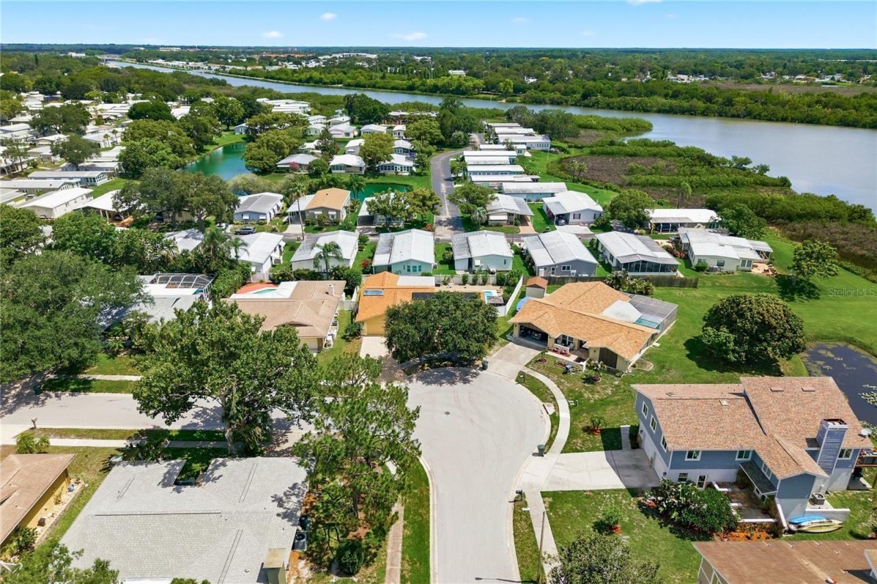 254 Timberview Drive , Safety Harbor, FL 34695 Photo