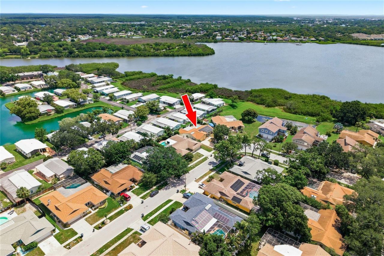 254 Timberview Drive , Safety Harbor, FL 34695 Photo
