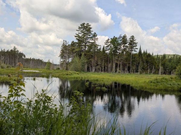 L3 NY-30, Long Lake, NY 12847