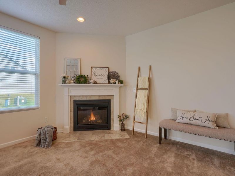 367 Stone Quarry Drive, Delaware, OH 43015 Photo 17