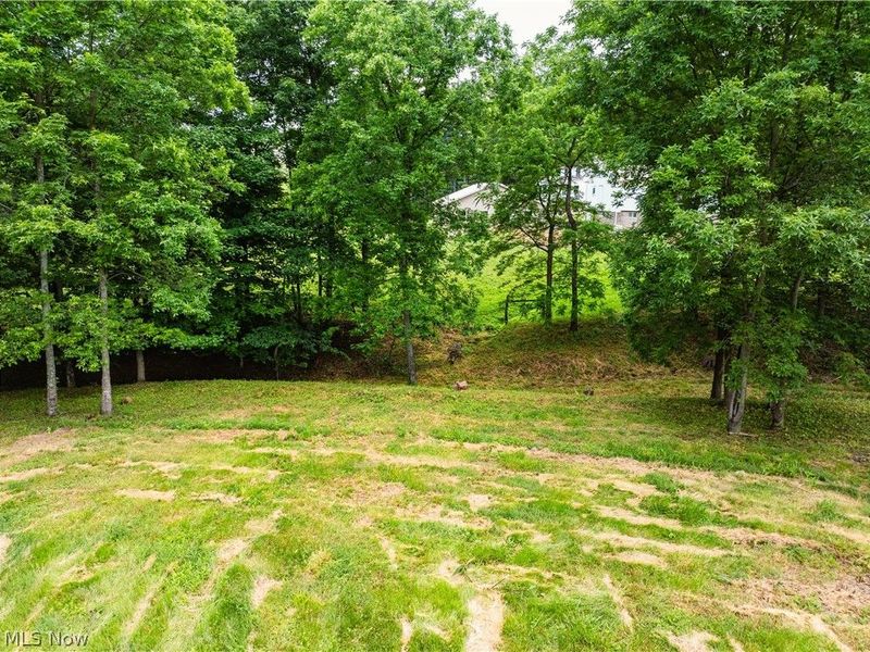 50117 Township Road 215, Fresno, OH 43824 Photo 46