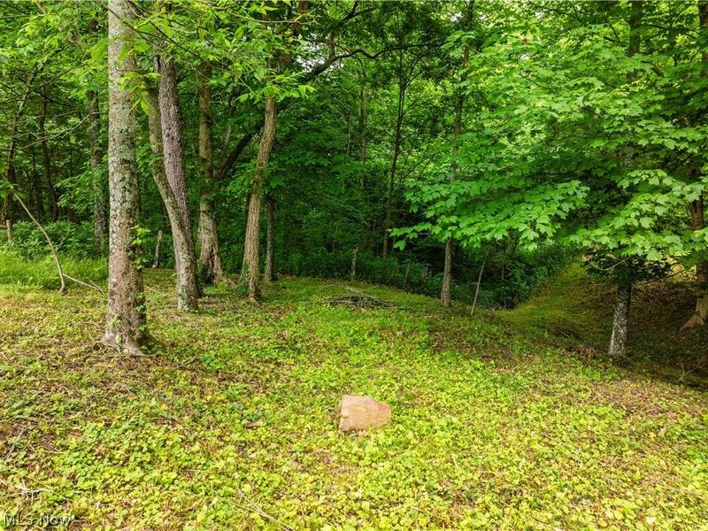 50117 Township Road 215, Fresno, OH 43824 Photo 47
