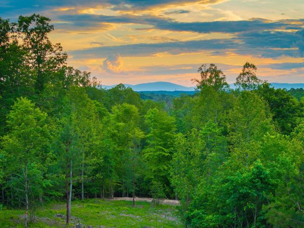 0 GILBERT STATION RD, Unit 2, BARBOURSVILLE, VA 22923