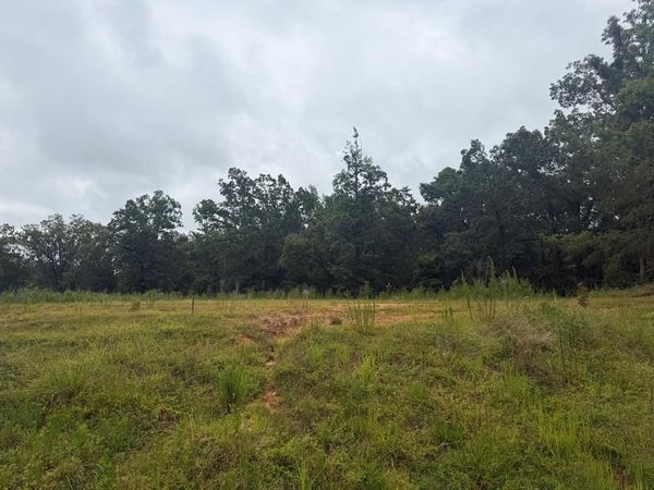 403 Bridle Cove, Oxford, MS 38655