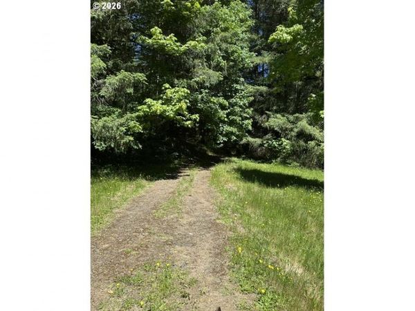 89366 NELSON MOUNTAIN RD, Walton, OR 97490