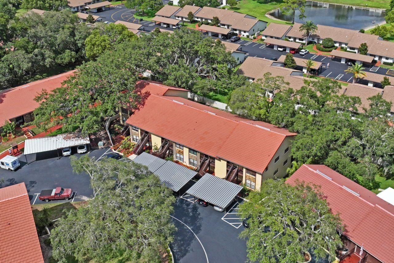 8550 Shadblow Ct , Unit #6, Port Richey, FL 34668 Photo
