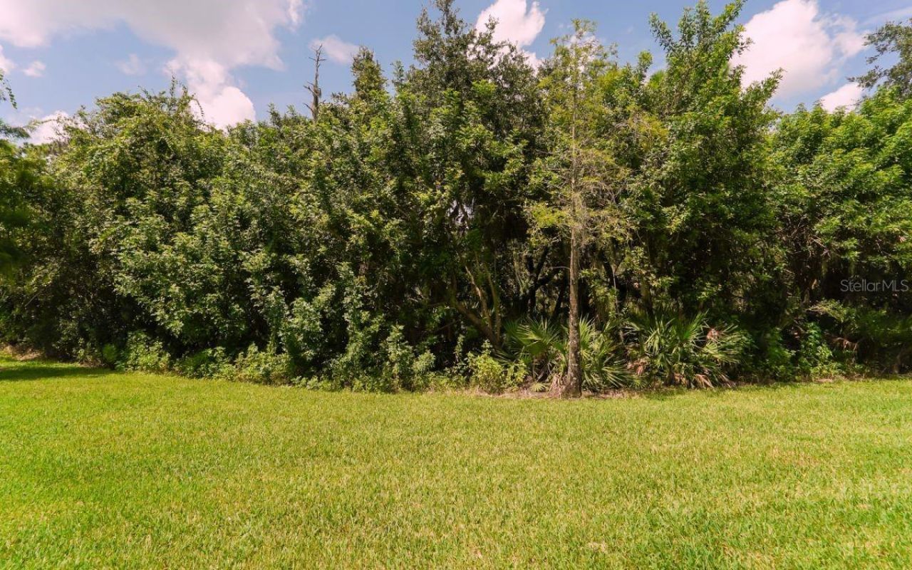 7339 Black Walnut Way , Lakewood Ranch, FL 34202 Photo