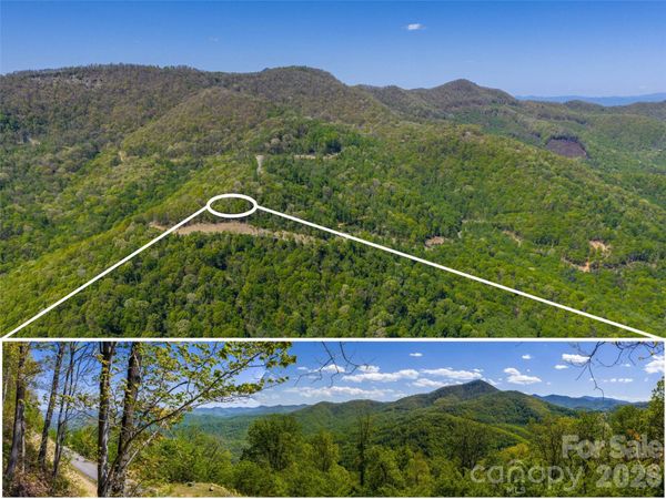 0000 Lovebird Lane , Candler, NC 28716