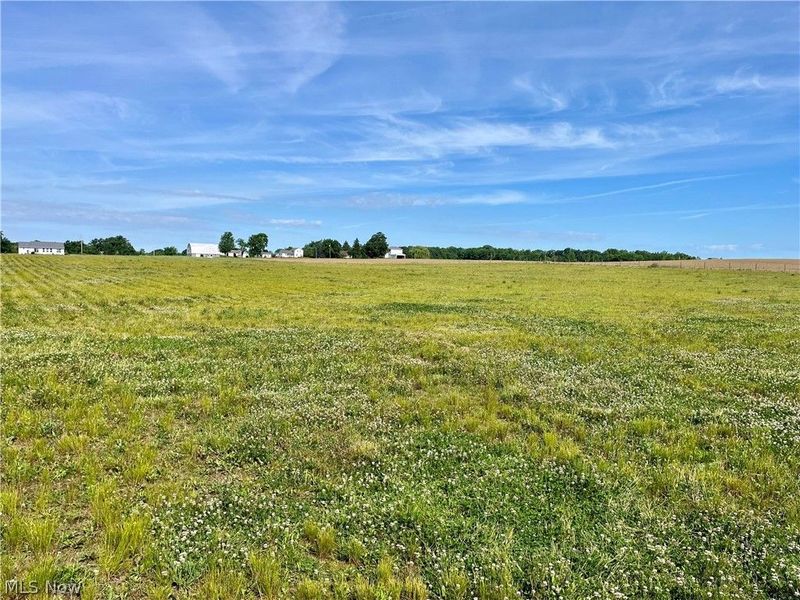 5497 Carsten Road , Medina, OH 44256 Photo 9