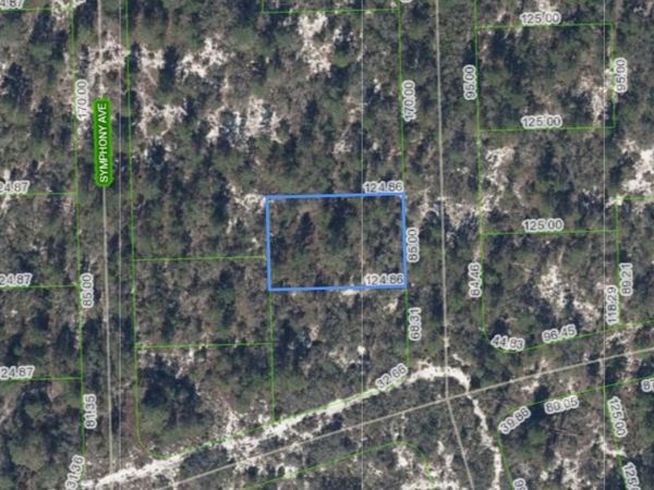 591 BLUE VELVET DRIVE , LAKE PLACID, FL 33852