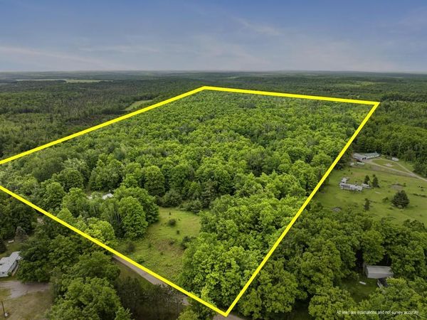 9782 Walters Road, Onaway, MI 49765