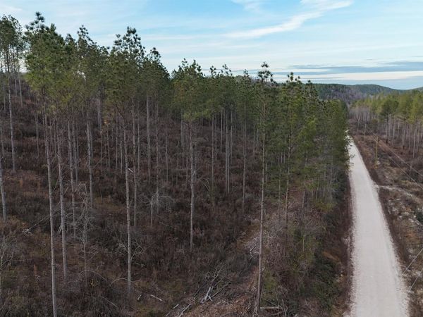 004 County Road 175, Piedmont, AL 36272