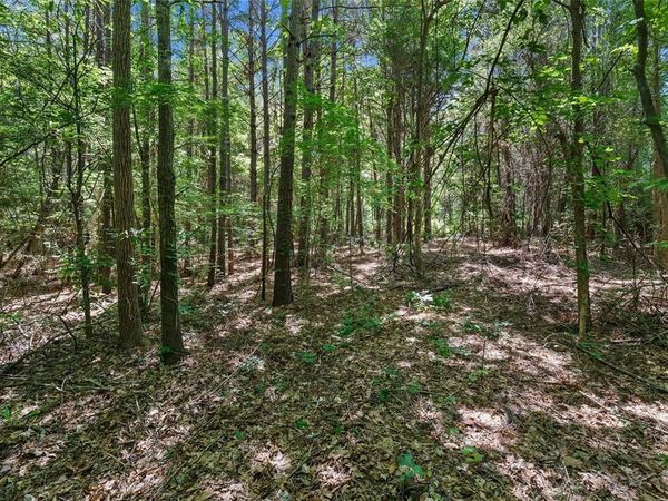 TBD County Rd 3363 , Unit Tract D, De Berry, TX 75639