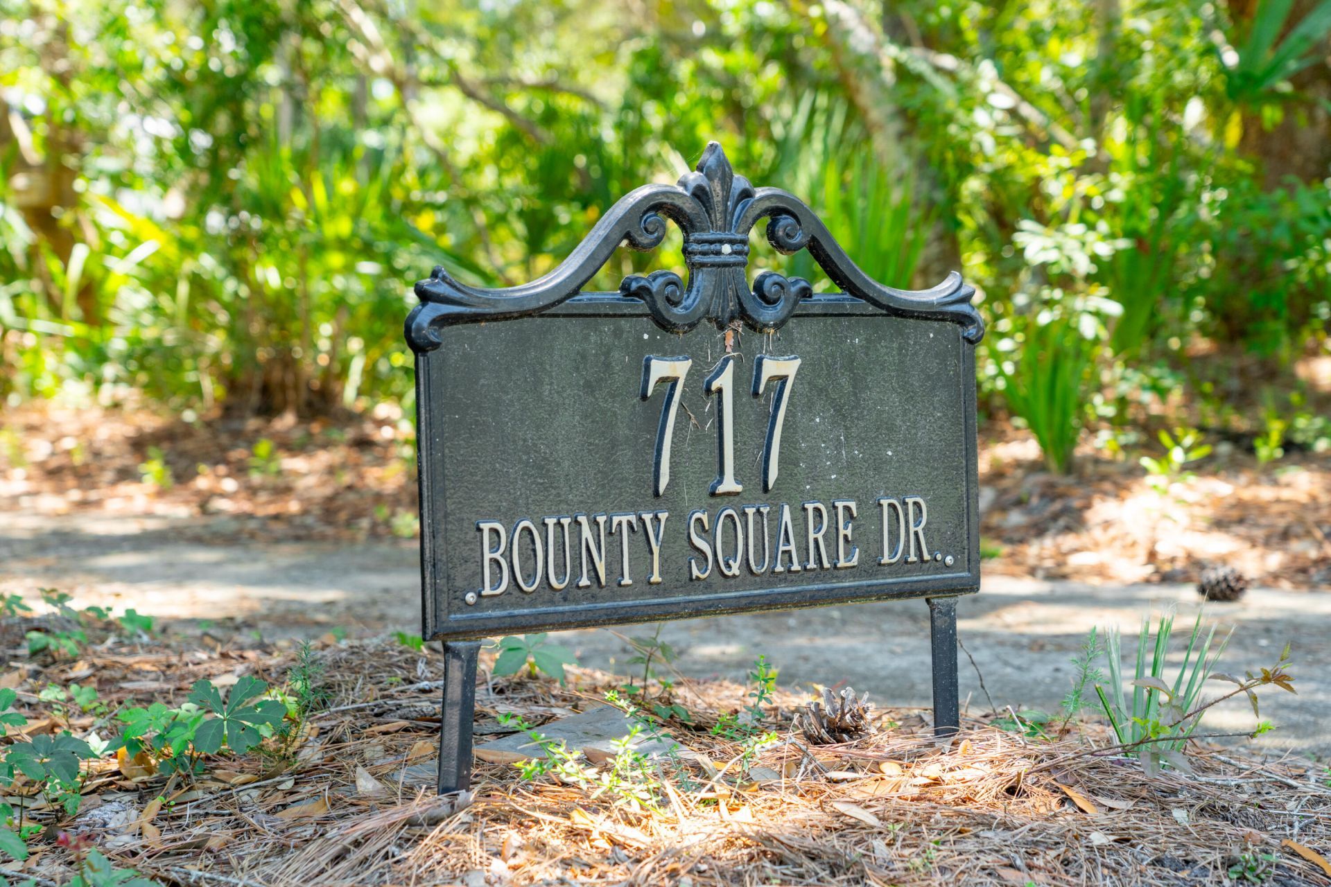 717 Bounty Square Drive Photo 4