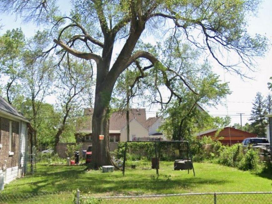 Main Photo
