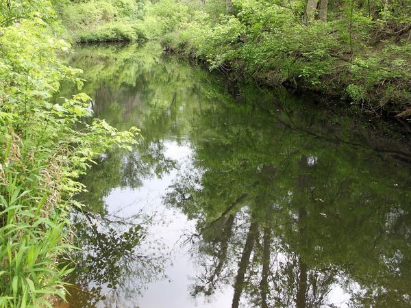 000 Brushy Branch RD , Lockhart, TX 78644