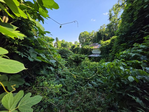 1120 Douglas AVE , Martinsville, VA 24112