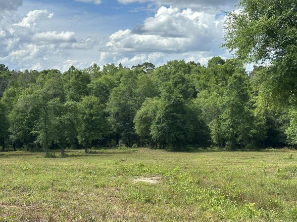Parcel A County Road 20/New Ebenzer Road, Florala, AL 36442