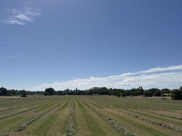 TBD Hwy 95, Payette, ID 83661
