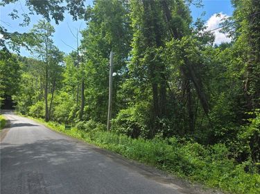 Lippitt Development Road, Cooperstown, NY 13326
