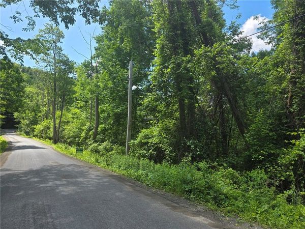 Lippitt Development Road , Cooperstown, NY 13326