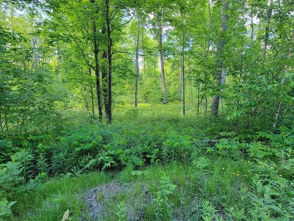On BRADY LANE, Elcho, WI 54428