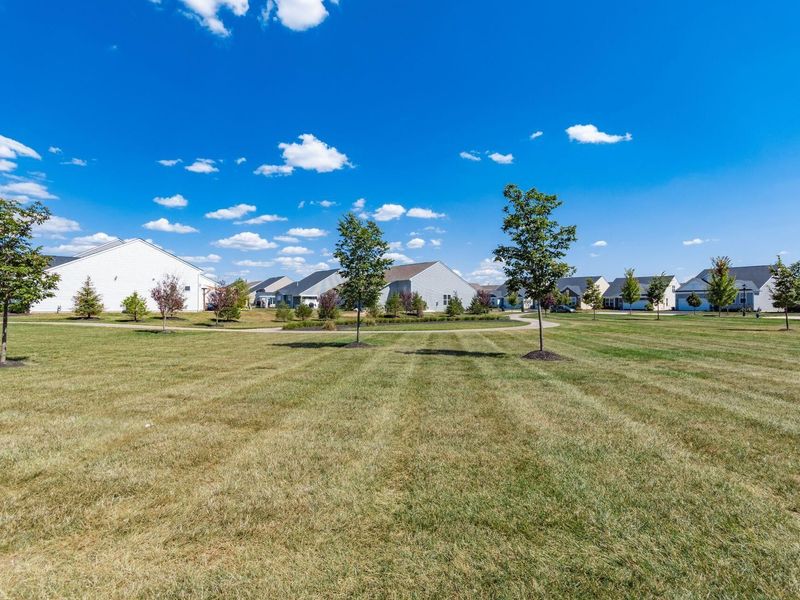 6496 Orangeberry Road, Hilliard, OH 43026 Photo 51