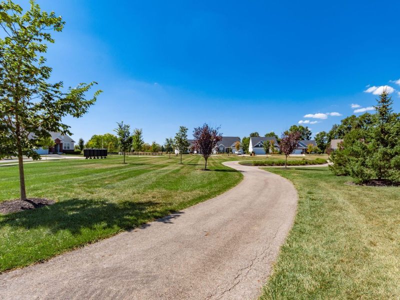 6496 Orangeberry Road, Hilliard, OH 43026 Photo 52