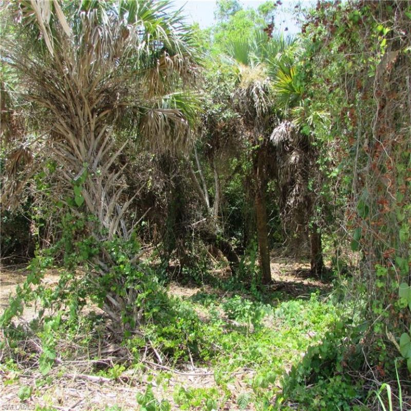 14901 Stringfellow Rd , Bokeelia, FL 33922 Photo