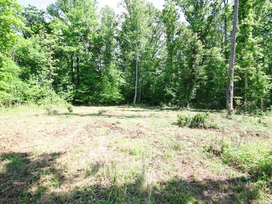 Property Image 23