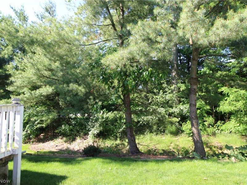 13 Hedgerows, New Middletown, OH 44442 Photo 33