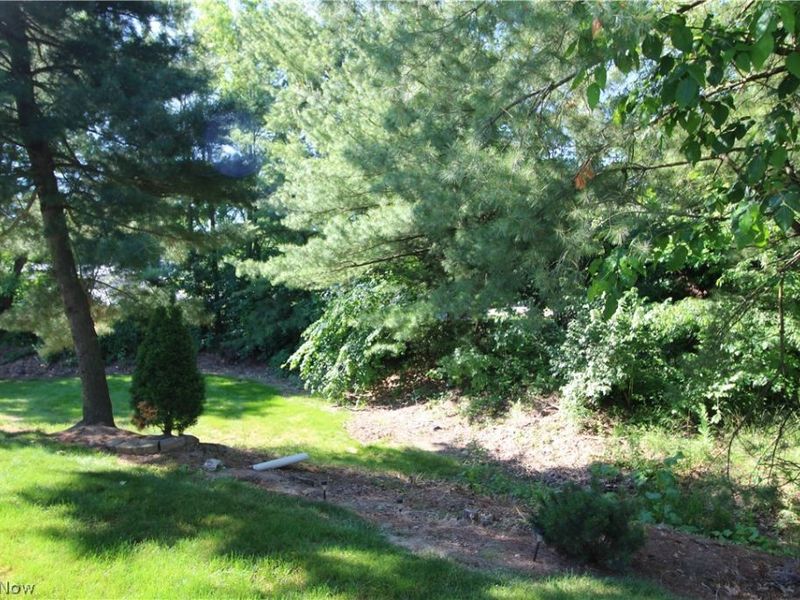 13 Hedgerows, New Middletown, OH 44442 Photo 34