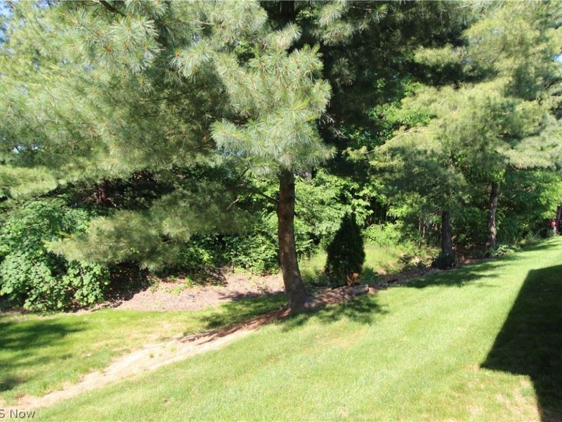 13 Hedgerows, New Middletown, OH 44442 Photo 35