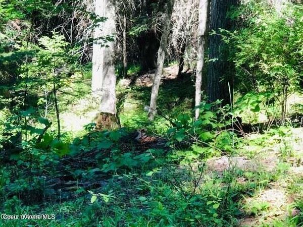 St. Maries, ID 83861