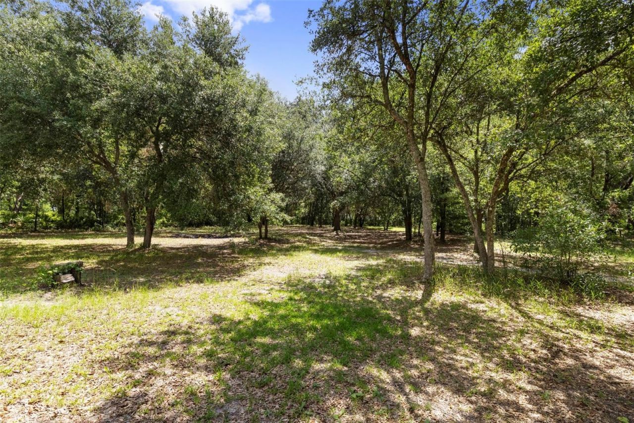 6010 Frontier Drive , Zephyrhills, FL 33540 Photo