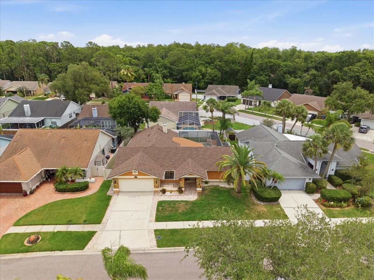 11803 Sweetpea Court, Tampa, FL 33635 Photo