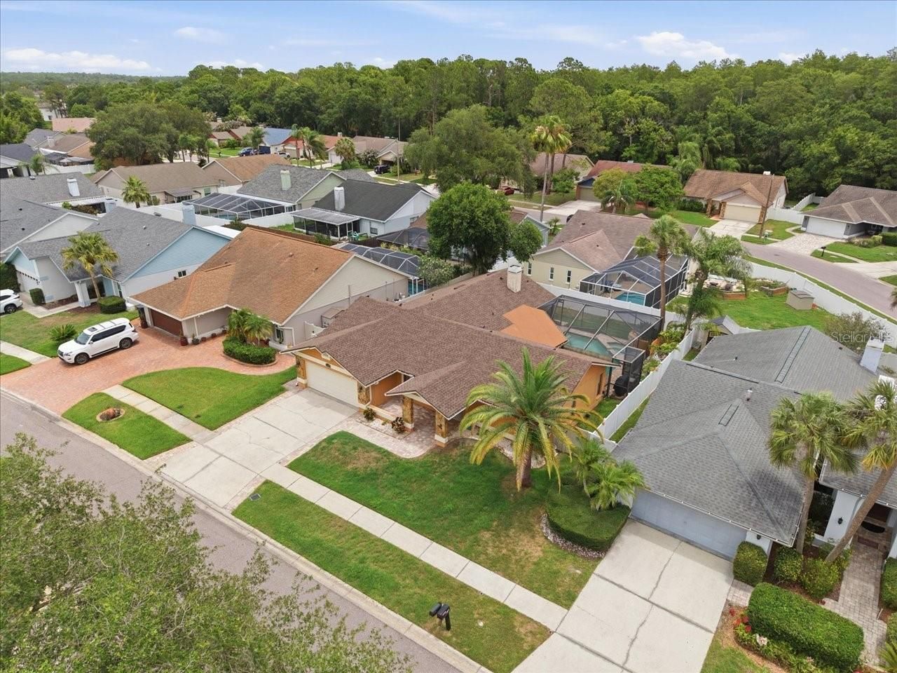 11803 Sweetpea Court, Tampa, FL 33635 Photo