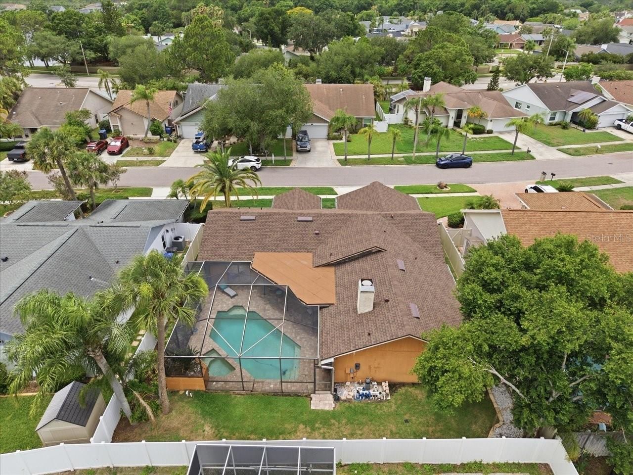 11803 Sweetpea Court, Tampa, FL 33635 Photo
