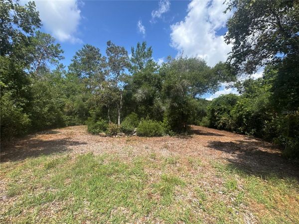 0 NORTH CIRCLE E, PAISLEY, FL 32767