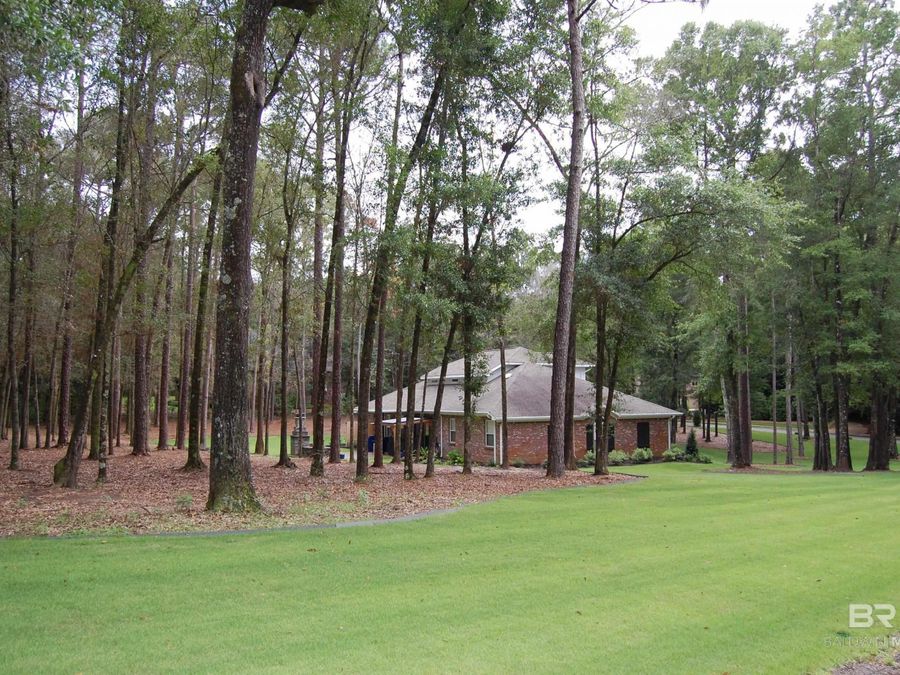Property Image 81