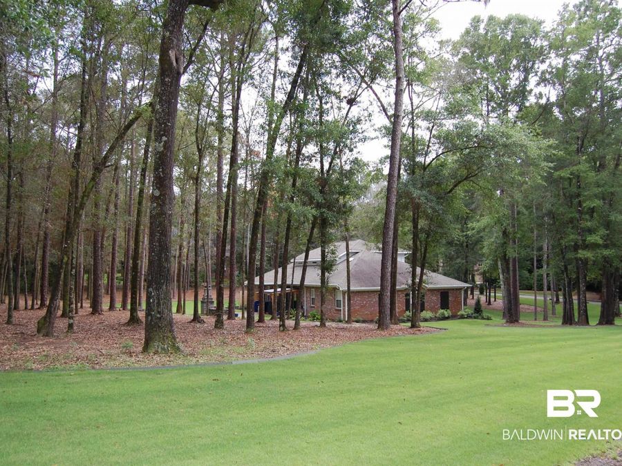 Property Image 81