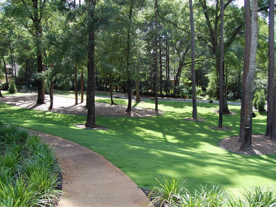 Property Image 85