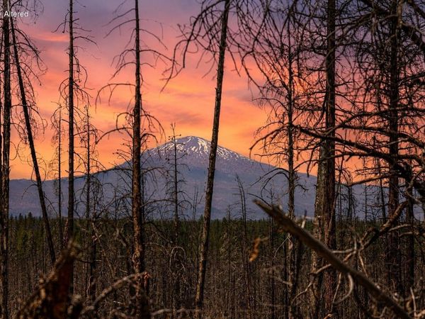 50146 Darlene Way, La Pine, OR 97739