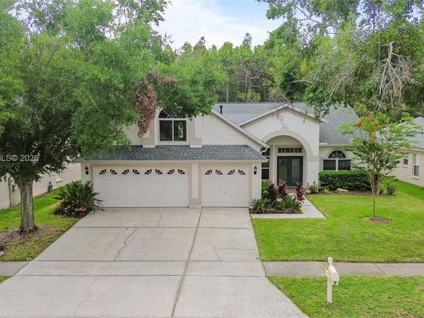 10217 Timberland Point Drive , Tampa, FL 33647